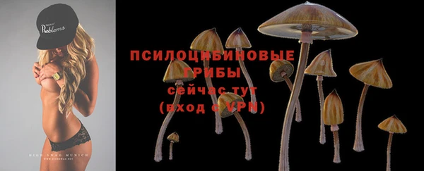 а пвп мука Дрезна